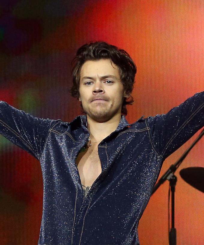 There Are Reports That Harry Styles Might Have A Major Role In An